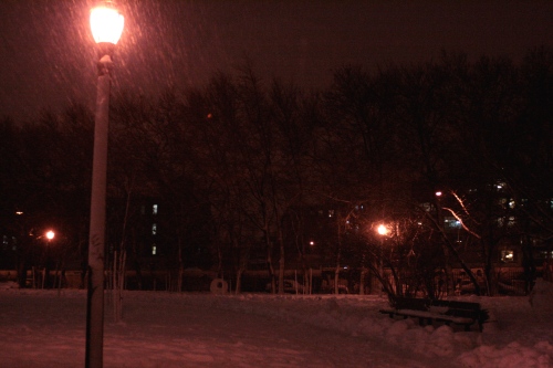 McCarren Park in the snow.
